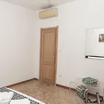 Domo Angioy * بورتو توريس