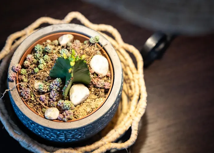 Apartamento Domo Angioy