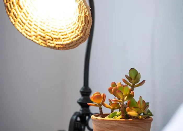 Apartamento Domo Angioy Porto Torres